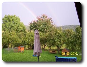 Spielwiese mit Enten