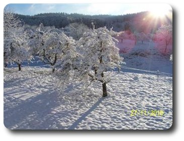 Winterzauber am B%uuml;hlhof